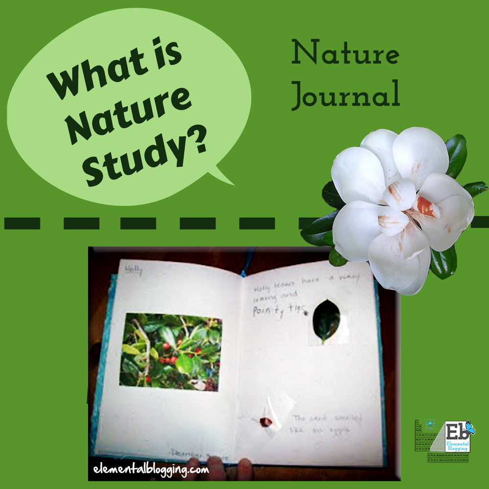 What Is Nature Study?