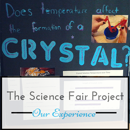 the science fair project our experience sciencefairproject com