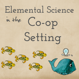 ES co-op setting feature