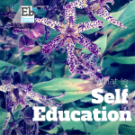 What is Self Education?