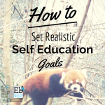 How to Set Realistic Self-Education Goals