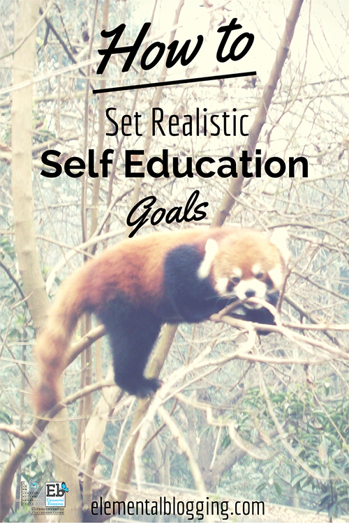 How to Set Realistic Self-Education Goals | Elemental Blogging