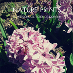 Science Corner: Nature Prints