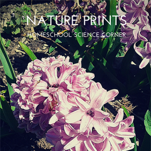 Nature Prints | Homeschool Science Corner