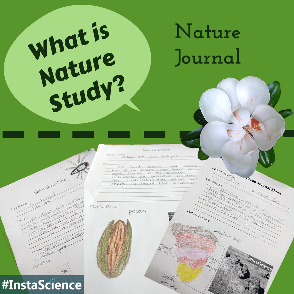 nature-study-notebook2