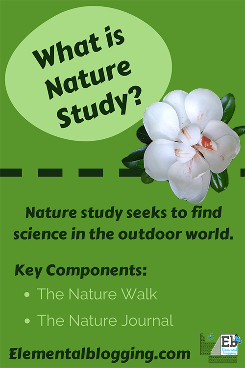 What is nature study? | Elemental Blogging