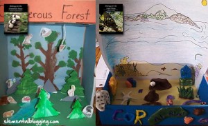 Habitat Diorama Projects