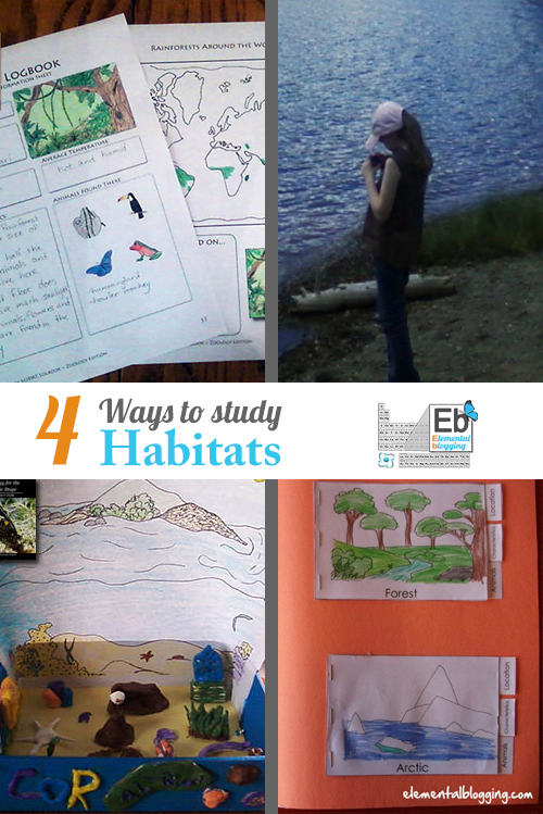 4 Ways to Study Habitats | Homeschool Science Corner