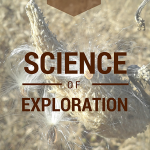 The Science of Exploration