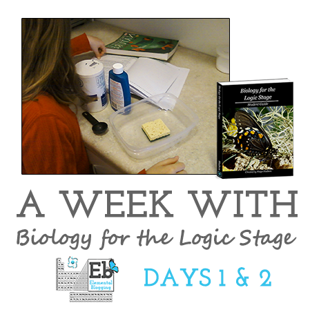 BLS week with feature day 1