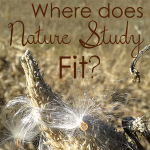 Where Does Nature Study Fit into Science Education?