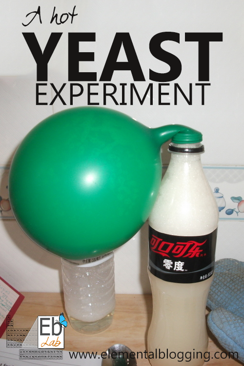 A Hot Yeast Experiment from the Science Corner at Elemental Blogging