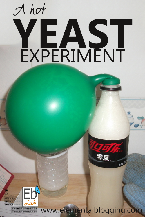 science-corner-a-hot-yeast-experiment