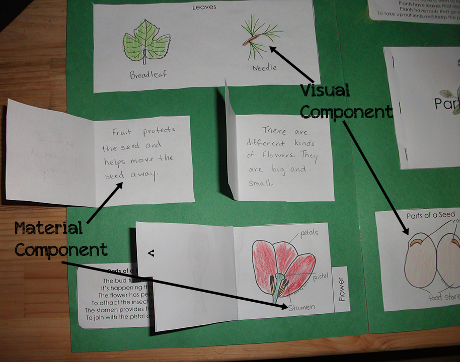 lapbook, notebooking, science lapbook