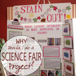 Why Should I do a Science Fair Project?