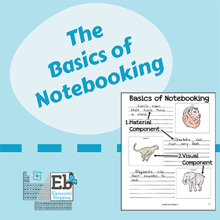 pdf basics notebook