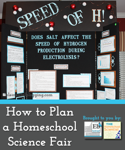 How to Plan a Homeschool Science Fair | Elemental Blogging & The Homeschool Scientist