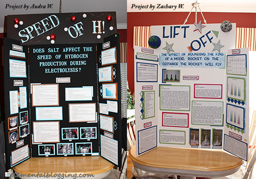 The Science Fair Project ~ Steps 7 & 8