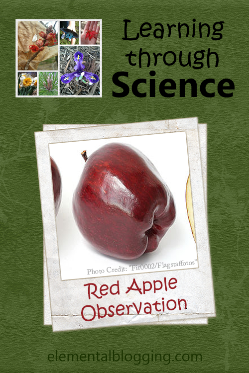Learning through Science - Red Apple Observation
