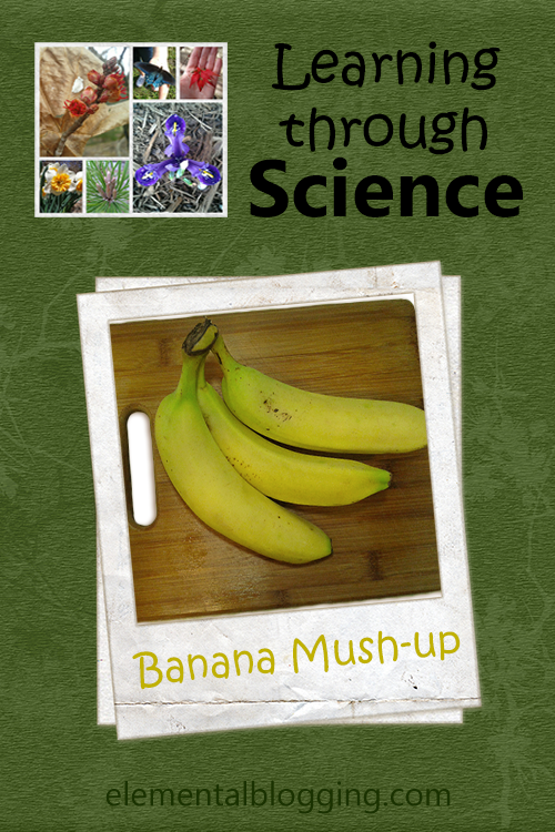 Learning through Science - Banana Mush-up