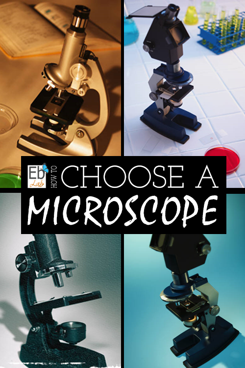 How to Choose a Microscope | Elemental Blogging