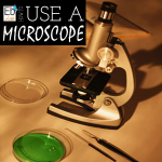 Science Corner: Using a Microscope for Homeschool Science