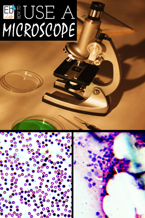 How to use a Microscope | Elemental Blogging