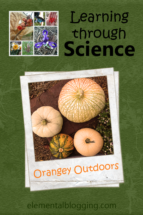 Learning through Science - Orangey Outdoors