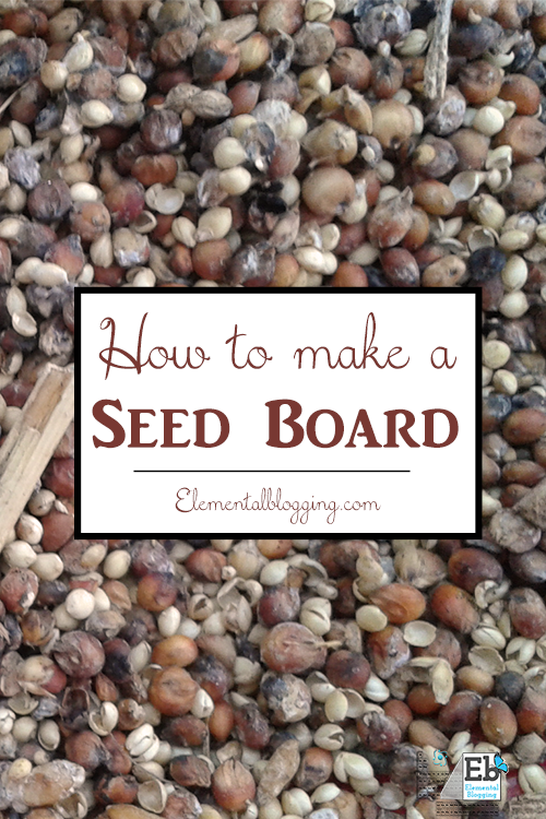 Follow these steps to make your own seed board, a perfect fall nature study project!