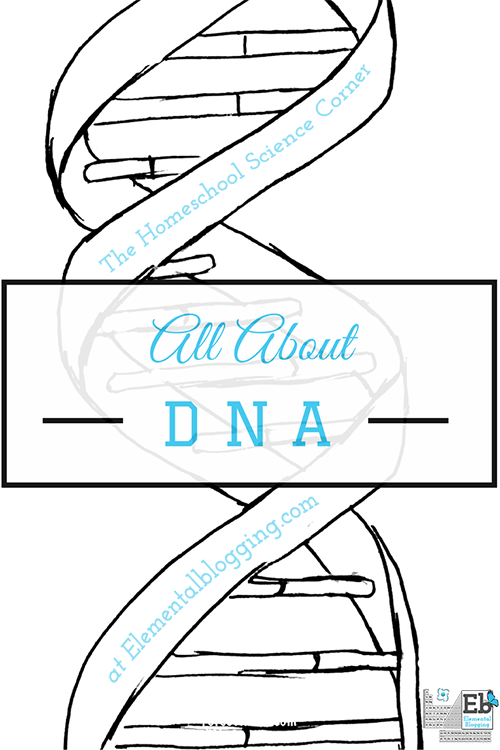 All About DNA (including activities and free printables) | Homeschool Science Corner