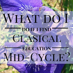 What should I do if I find classical education in the middle of the cycle?