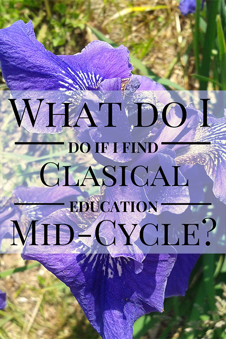 What should I do if I find classical education in the middle of the cycle? | Elemental Blogging