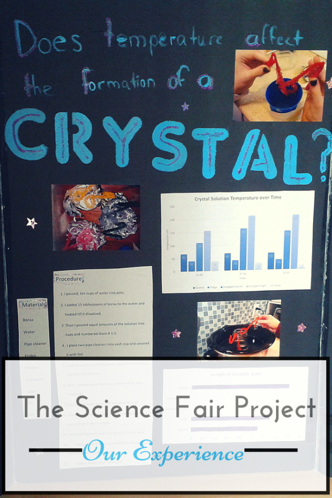 The Science Fair Project Our Experience