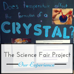 The Science Fair Project ~ Our Experience