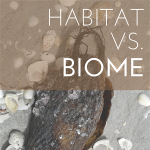 Homeschool Science Corner ~ Habitat or Biome