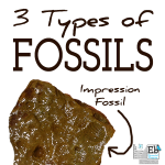 Homeschool Science Corner ~ 3 Types of Fossils