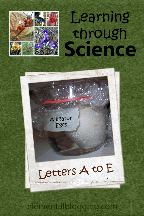 Help your preschooler learn the letters A through E with science!