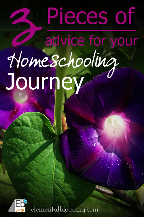 3 Pieces of advice for your homeschooling journey from Paige at Elemental blogging