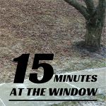 15 Minutes at the Window {Winter Nature Study}