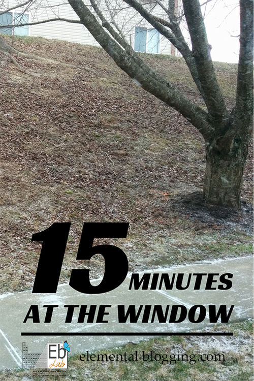 15 Minutes at the Window - The perfect nature study for those cold winter days!