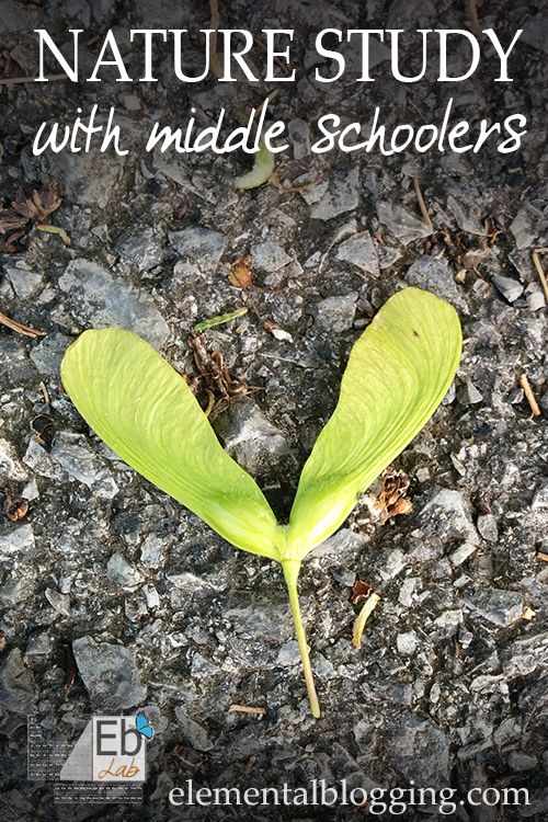 Nature Study with Middle Schoolers for Science | Elemental Blogging