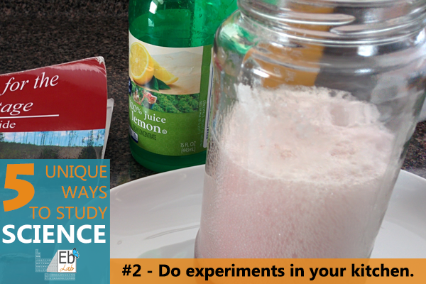 Baking soda, lemon juice, and more - raiding your kitchen for materials is one of the 5 unique ways you can study science!