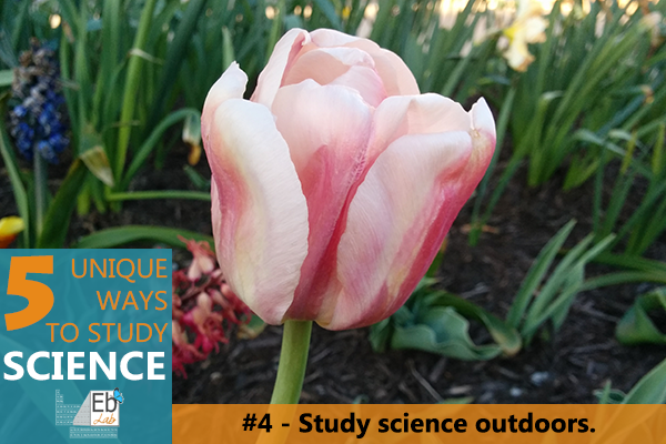 Heading outside to find science in nature is one of the 5 unique ways you can study science!