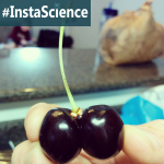 A chance pull of some double cherries led to a cool science lesson.