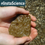 Learn about fossils in an instant with these cool facts and science activities!