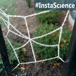 Freezing fog is a super cool weather phenomena that happens in the cool winter months! Head on over to this InstaScience post to learn about how this happens!