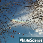 Iridescent, a.k.a. rainbow, clouds are a beautiful phenomenon! Click on over to learn about the science behind these clouds.
