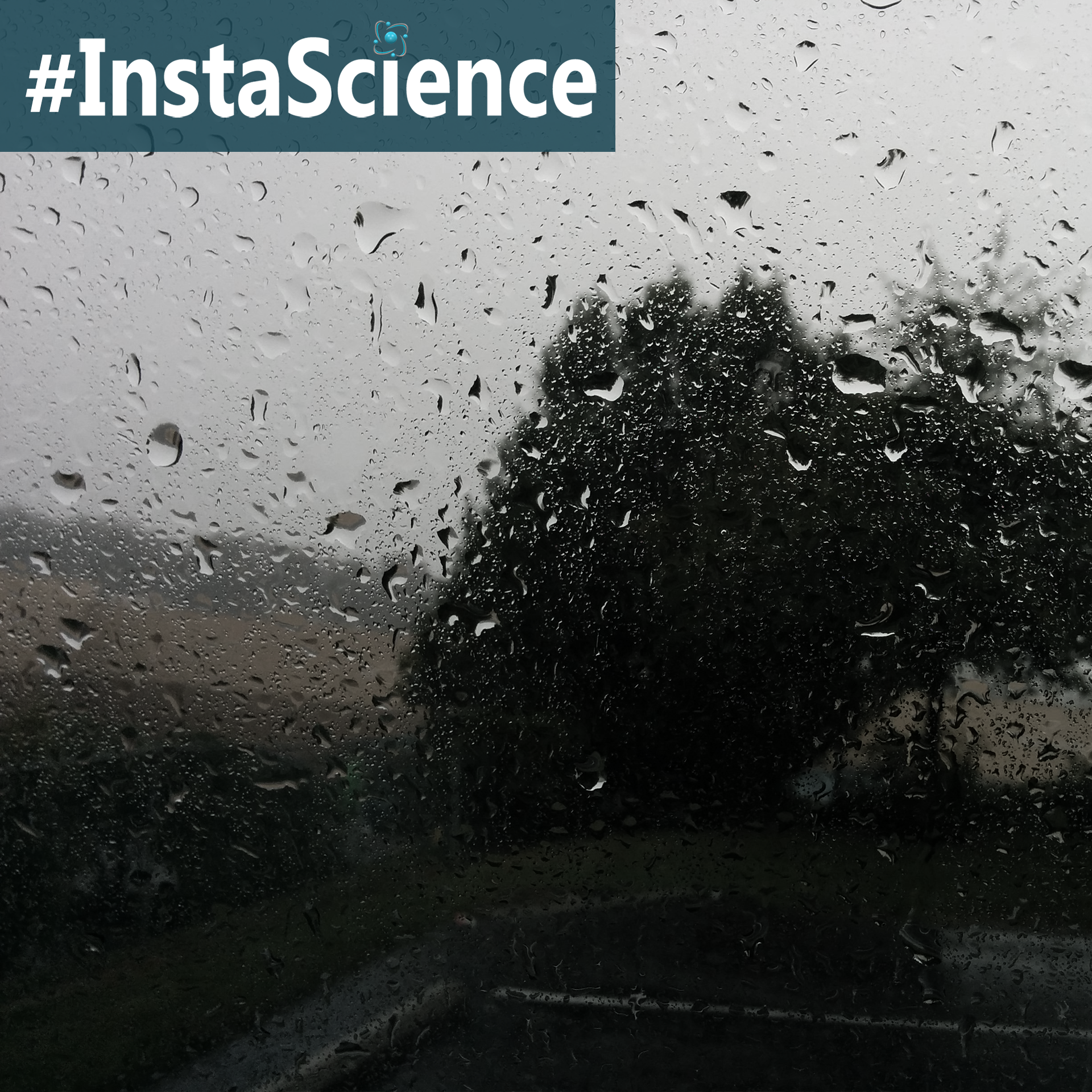 Learn about rain in an instant with these facts and activities!