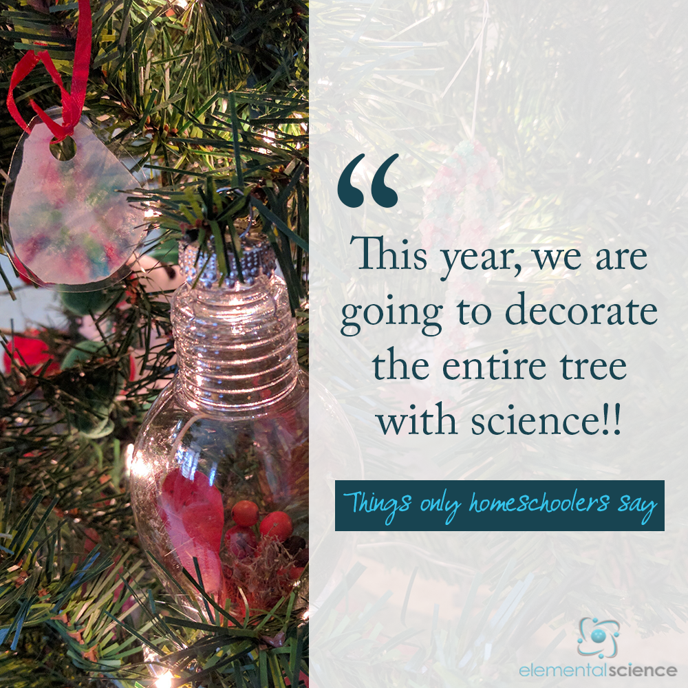 Have a laugh as you read the Decorate with Science List Edition of Things Only Homeschoolers Say at Elemental Blogging!