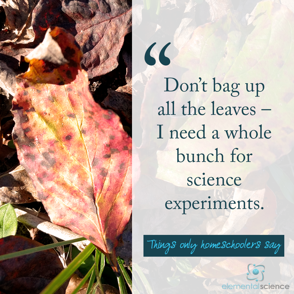 Have a laugh as you read the Save the Leaves Edition of Things Only Homeschoolers Say at Elemental Blogging!